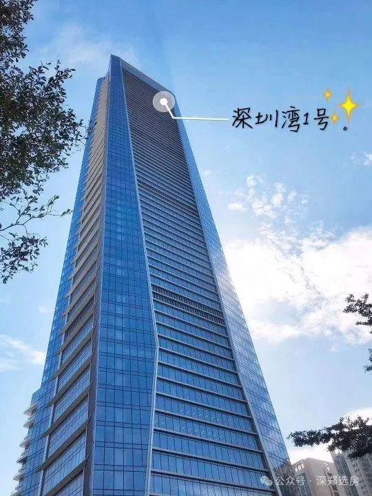 2025 深圳灣1號(hào) 售樓處i深圳灣1號(hào)官方網(wǎng)站深圳灣1號(hào)官方歡迎您